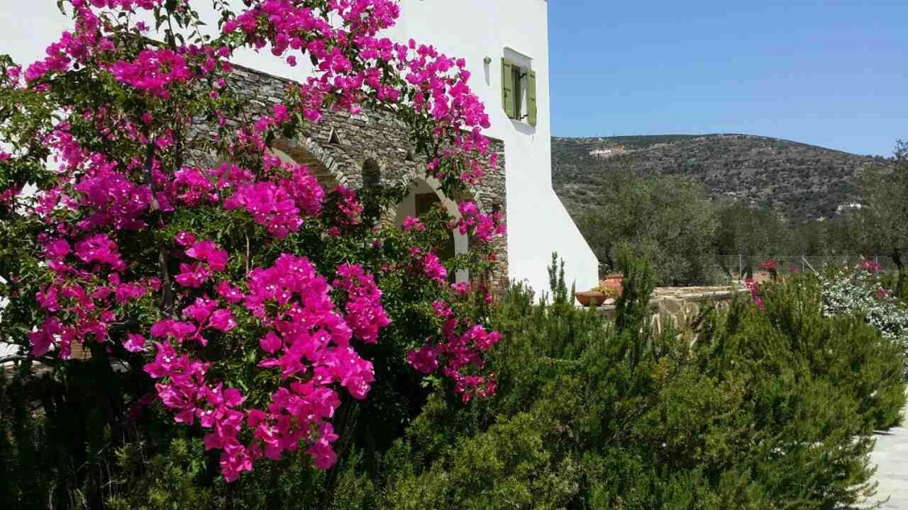 Case Panoramiche Platis Gialos  Exterior photo